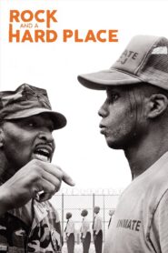 Rock and a Hard Place 2017 on netflix