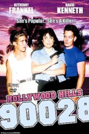 Hollywood Hills 90028 1994 on netflix