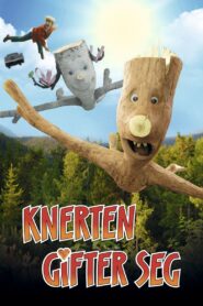 Twigson Ties the Knot 2010 on netflix
