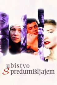 Premeditated Murder 1995 on netflix
