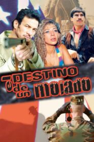 El destino de un mojado 1998 on netflix