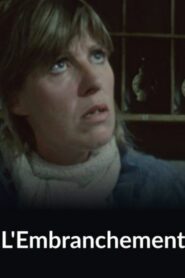 L’embranchement 1985 on netflix