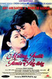 Muling Ibalik Ang Tamis Ng Pag-ibig 1998 on netflix