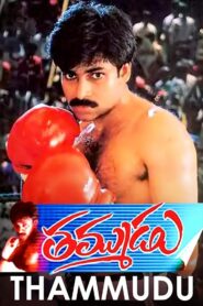 Thammudu 1999 on netflix