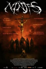 Ninjas 2011 on netflix