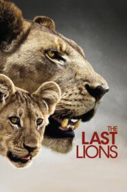 The Last Lions 2011 on netflix