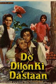Do Dilon Ki Dastaan 1985 on netflix