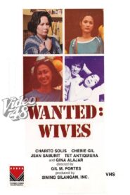 Wanted: Wives 1980 on netflix