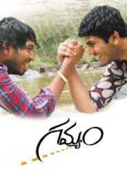 Gamyam 2008 on netflix