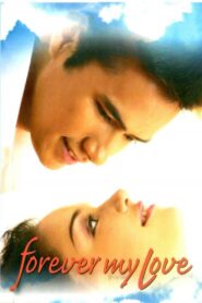 Forever My Love 2004 on netflix