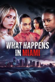 What Happens in Miami 2024 on netflix