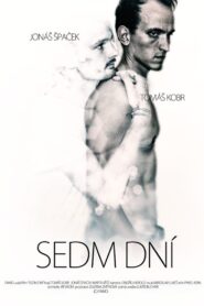 Seven Days 2012 on netflix