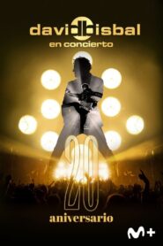 David Bisbal en concierto – 20 Aniversario 2023 on netflix