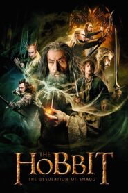 The Hobbit: The Desolation of Smaug 2013 on netflix