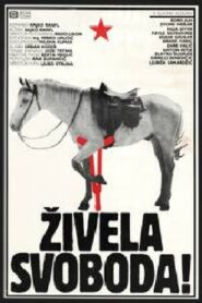 Long Live Freedom 1987 on netflix