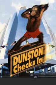 Dunston Checks In 1996 on netflix