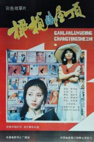 橄榄绿屋顶 1987 on netflix