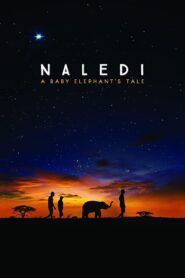 Naledi: A Baby Elephant’s Tale 2016 on netflix