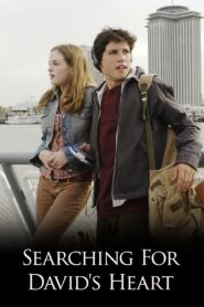 Searching for David’s Heart 2004 on netflix