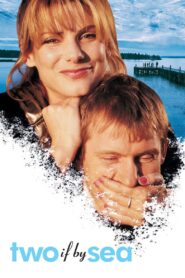 Two If by Sea 1996 on netflix