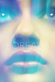 Borealis 2015 on netflix