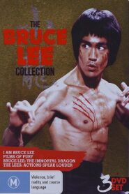 The Lees: Action Speaks Louder 1999 on netflix