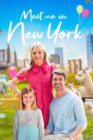 Meet Me in New York 2022 on netflix