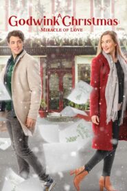 A Godwink Christmas: Miracle of Love 2021 on netflix