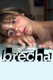 Breach 2009 on netflix