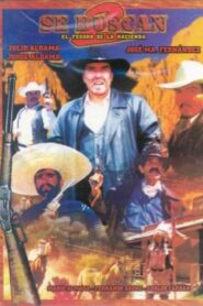 Se buscan II, el tesoro de la hacienda 2003 on netflix