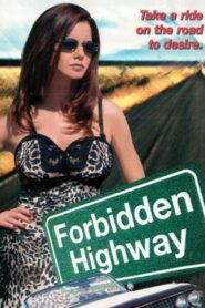 Forbidden Highway 2001 on netflix
