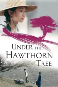 Under the Hawthorn Tree 2010 on netflix