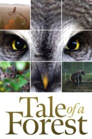Tale of a Forest 2012 on netflix