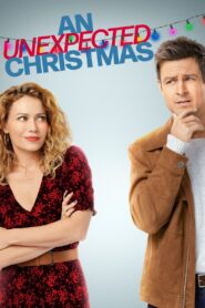 An Unexpected Christmas 2021 on netflix