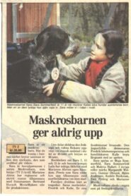 Maskrosbarn 1989 on netflix