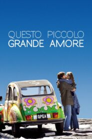 Questo piccolo grande amore 2009 on netflix