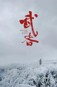 Shadows and Echoes 2019 on netflix