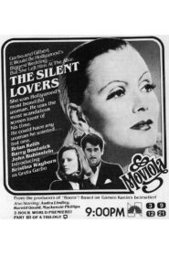 The Silent Lovers 1980 on netflix