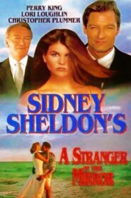 A Stranger in the Mirror 1993 on netflix