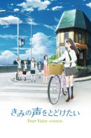 Your Voice -KIMIKOE- 2017 on netflix
