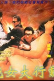 艳女大行动 1992 on netflix