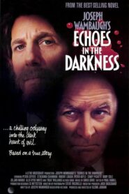 Echoes in the Darkness 1987 on netflix