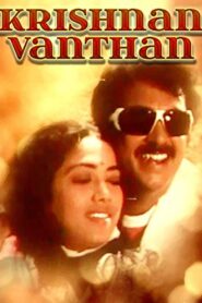 Krishnan Vandhaan 1987 on netflix