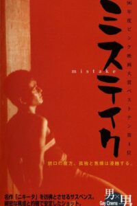Mistake 1995 on netflix