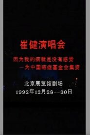 崔健 – 1992年北展演唱会 1992 on netflix