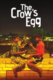 Kaaka Muttai 2015 on netflix