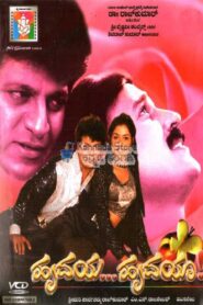 Hrudaya Hrudaya 1999 on netflix