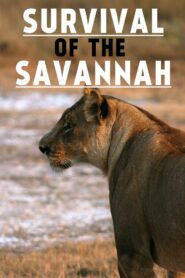 Survival on the Savannah 1999 on netflix