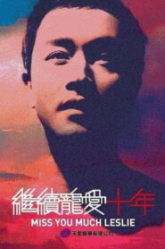 继续宠爱·十年·音乐会 2013 on netflix