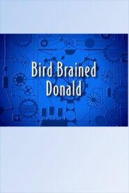 Bird Brained Donald 2000 on netflix